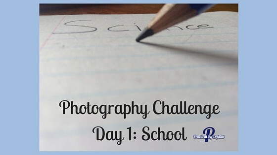 Day 1 of SchoolhousTeachers.com Photo Challenge. Sharing our Review